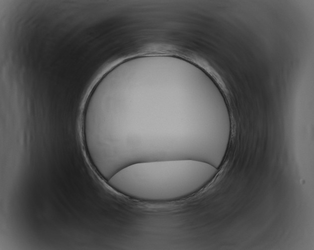 X0000099581486200805160736