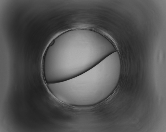 X0000099581487200805160736