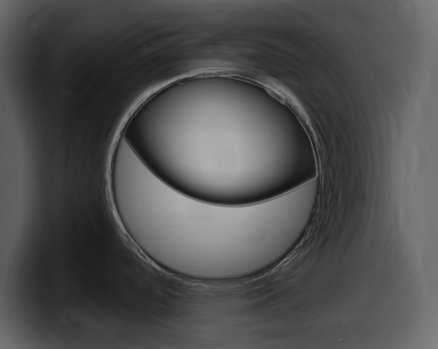 X0000099581488200805160736