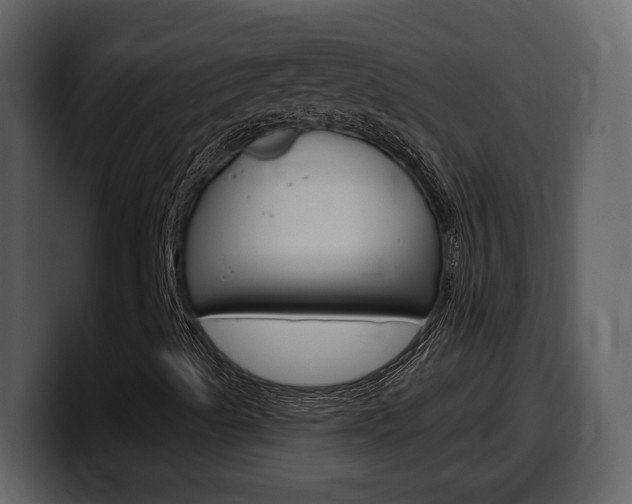 X0000099581489200805160735