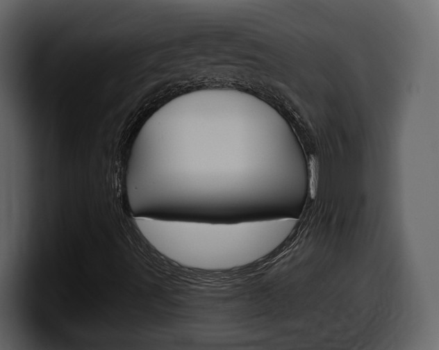 X0000099581491200805160735