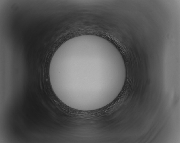 X0000099581492200805160735