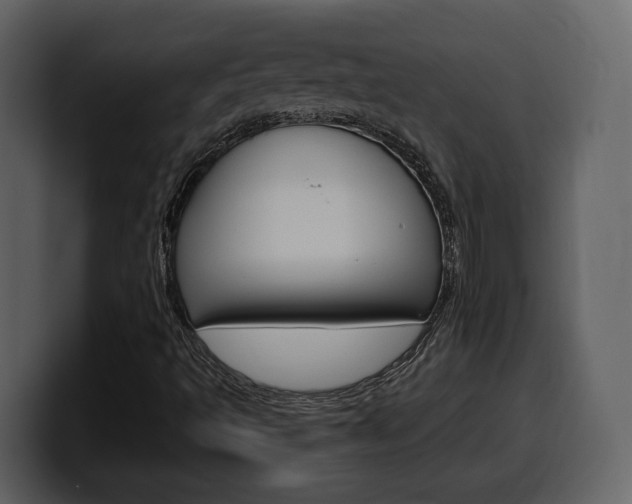 X0000099581493200805160735