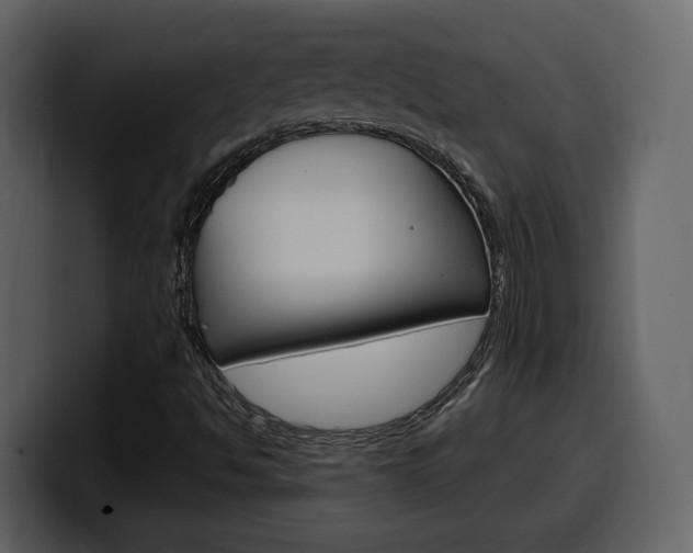 X0000099581494200805160735