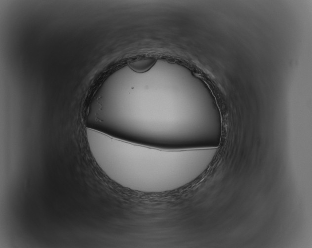 X0000099581495200805160735