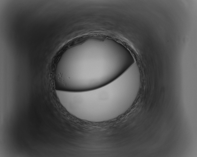 X0000099581496200805160735