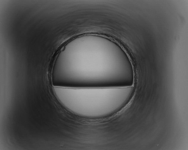 X0000099581497200805160735
