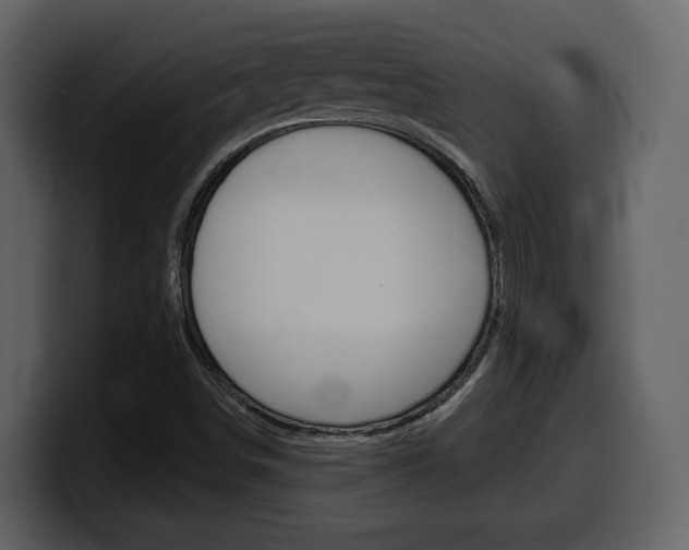 X0000099581498200805160735