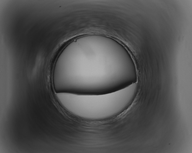 X0000099581499200805160735