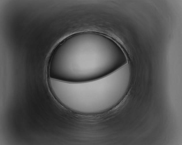 X0000099581500200805160735