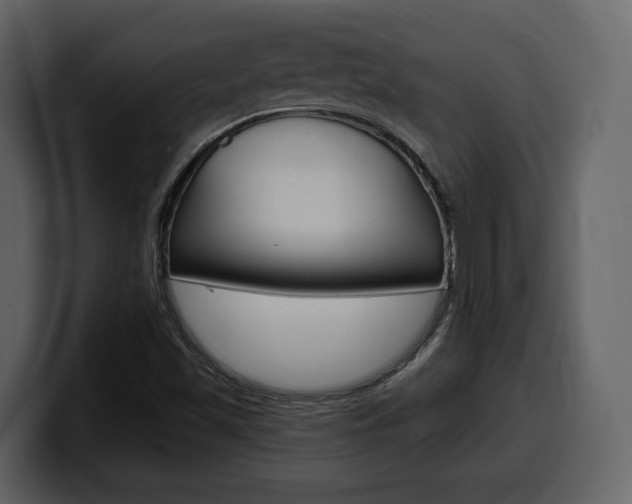 X0000099581501200805160735