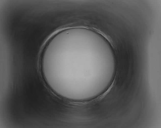 X0000099581502200805160735