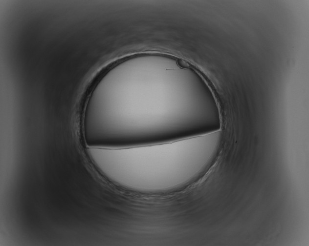 X0000099581503200805160735