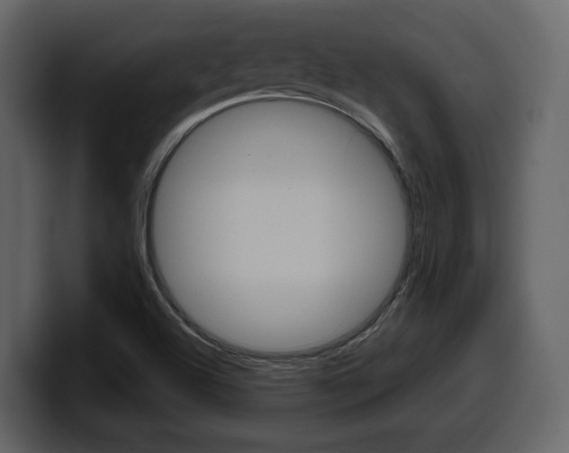 X0000099581504200805160735