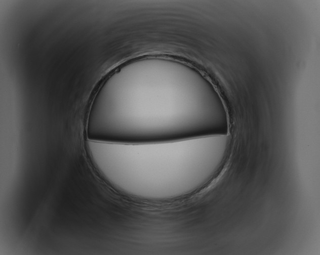 X0000099581505200805160735