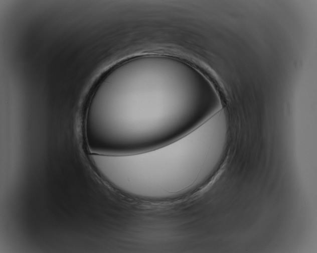 X0000099581506200805160735
