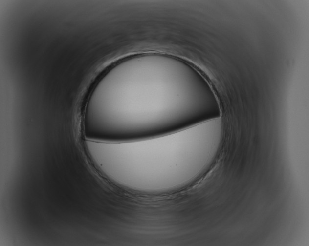 X0000099581507200805160735