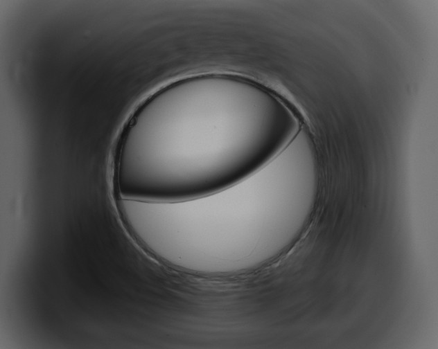 X0000099581508200805160735