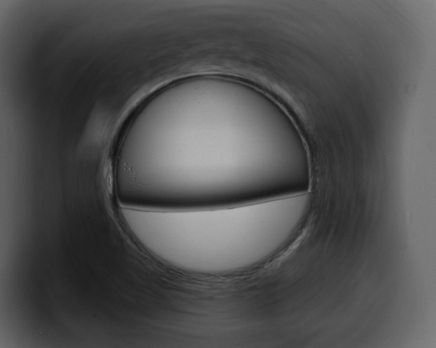 X0000099581509200805160735