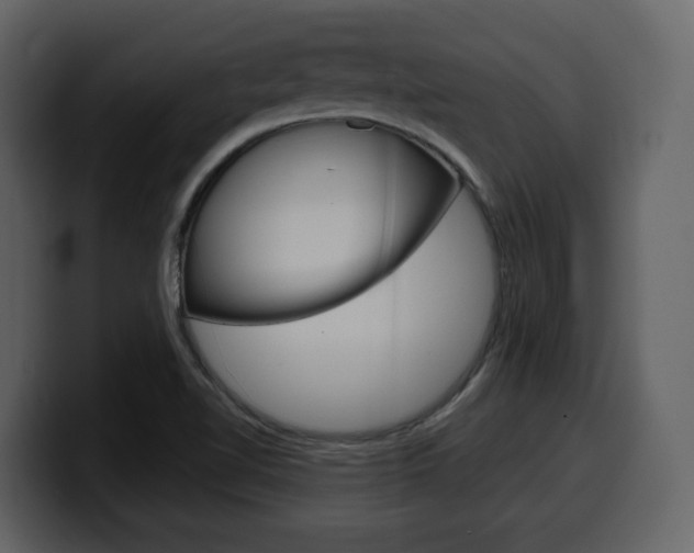 X0000099581510200805160735