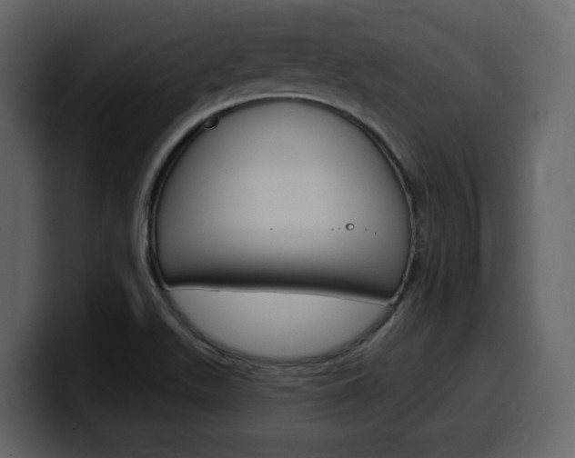 X0000099581511200805160735