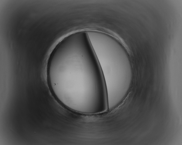 X0000099581512200805160735