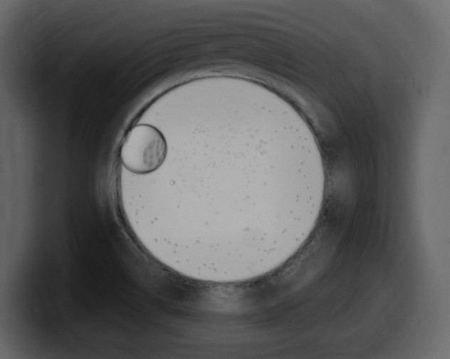 X0000099581514200805160735