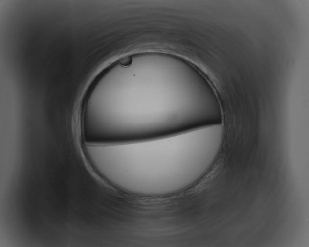 X0000099581515200805160735