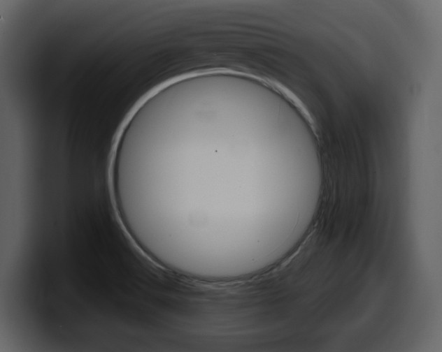 X0000099581516200805160735
