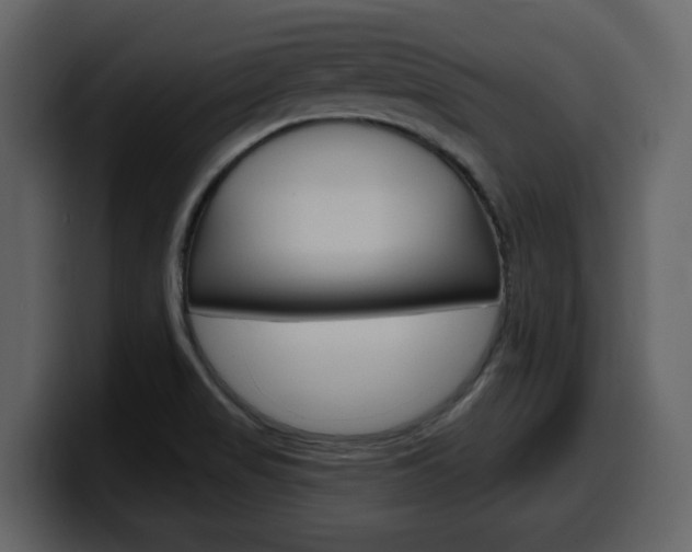 X0000099581517200805160735