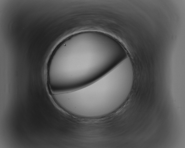 X0000099581519200805160735