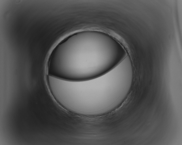 X0000099581520200805160735
