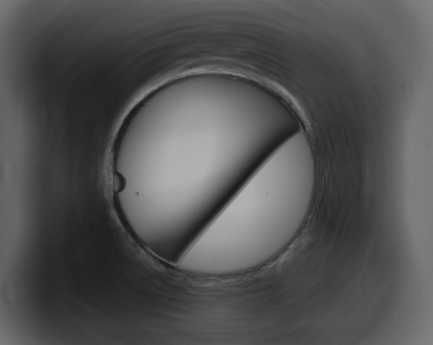 X0000099581522200805160736