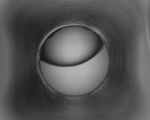 X0000099581524200805160736