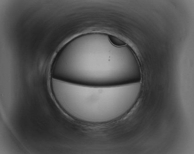 X0000099581525200805160736