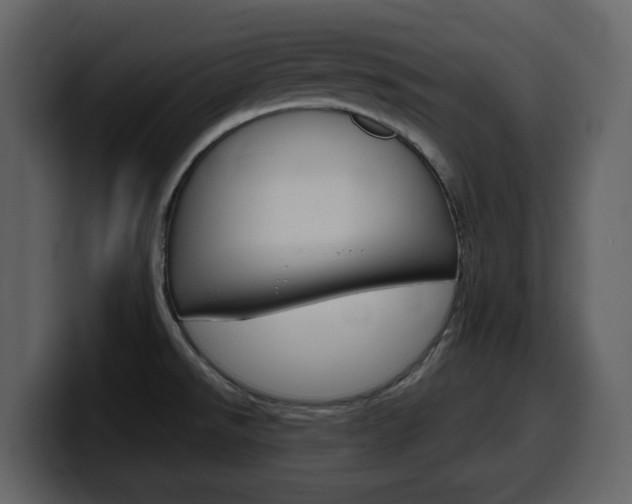 X0000099581526200805160736