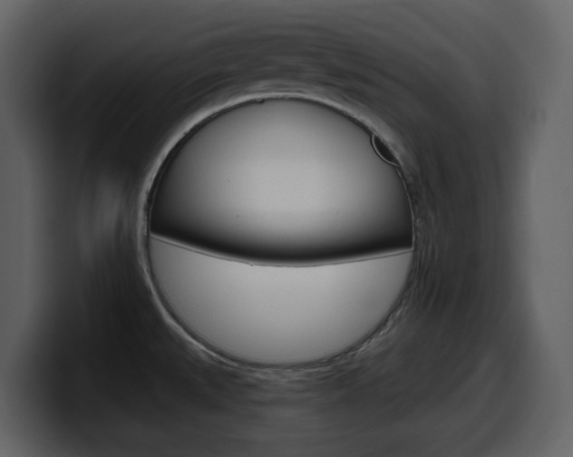 X0000099581527200805160736