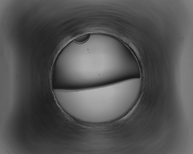 X0000099581529200805160736