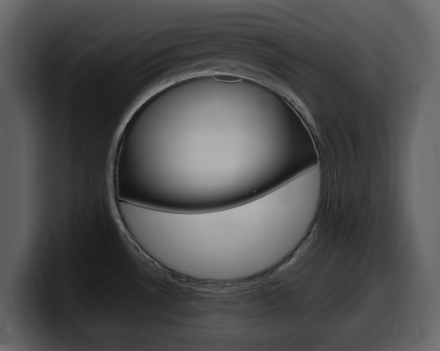 X0000099581530200805160736