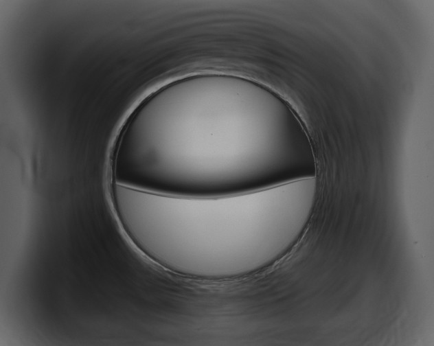 X0000099581531200805160736