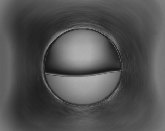 X0000099581533200805160736