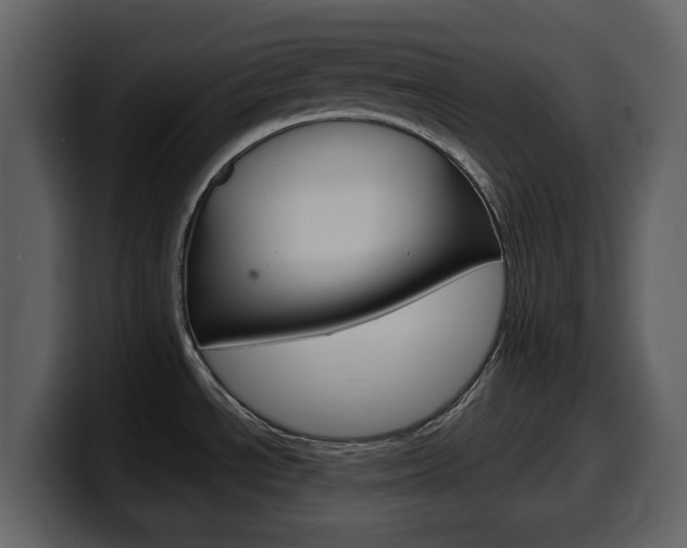 X0000099581534200805160736