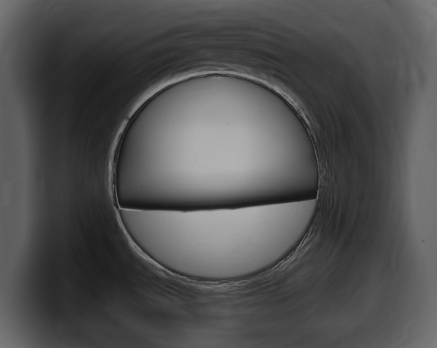 X0000099581535200805160736