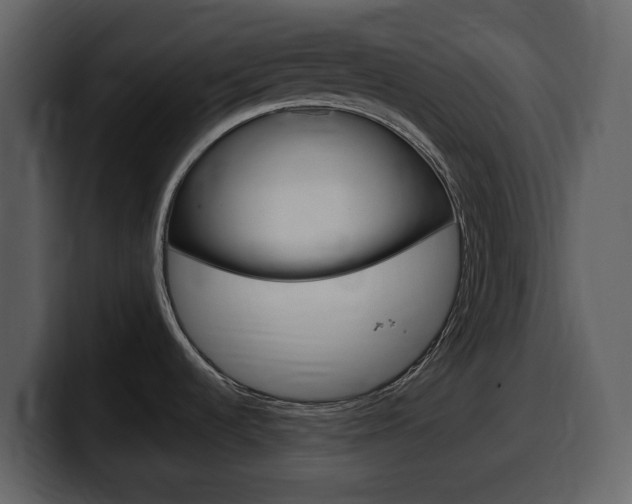 X0000099581536200805160736