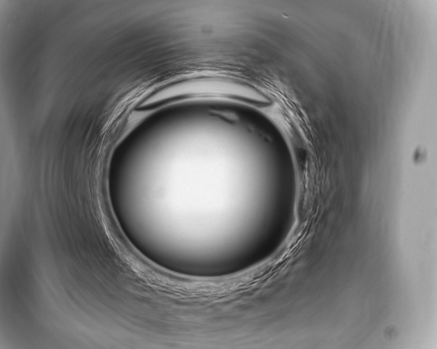 X0000099580001200805161247