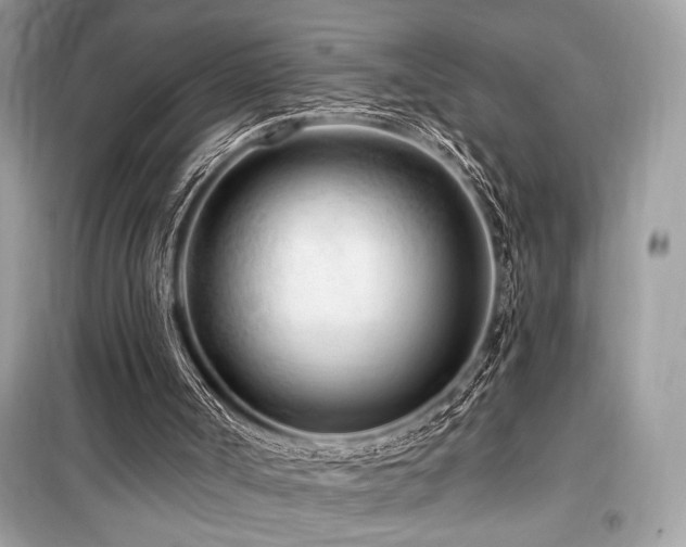 X0000099580002200805161247