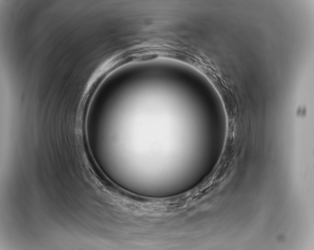 X0000099580004200805161247
