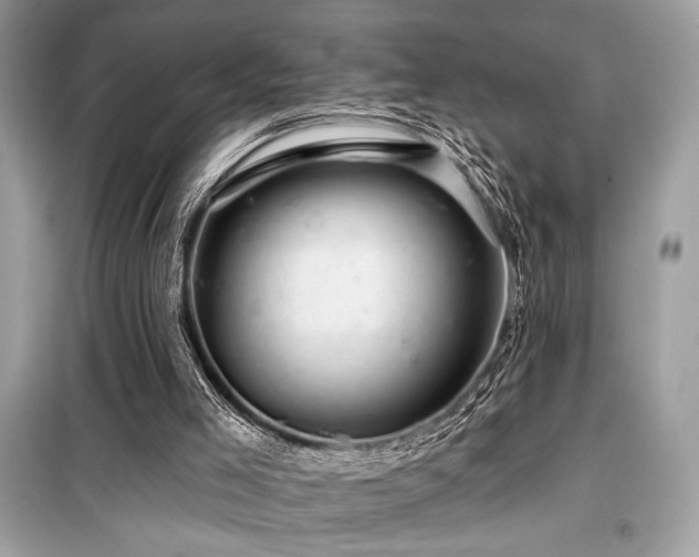 X0000099580005200805161247