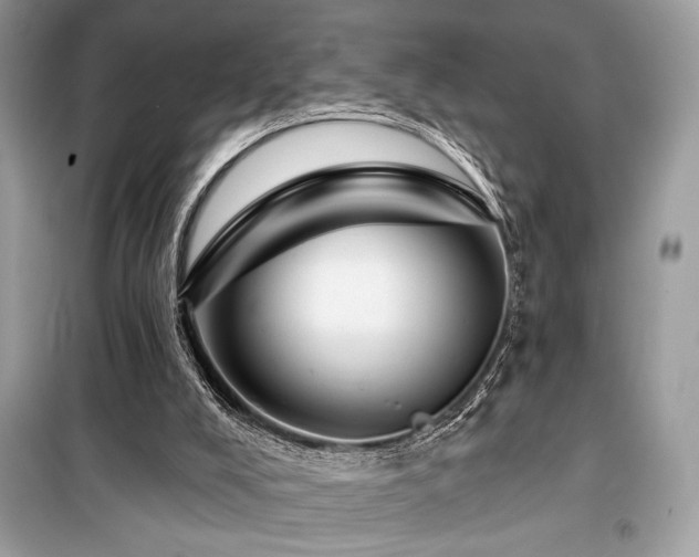 X0000099580008200805161247