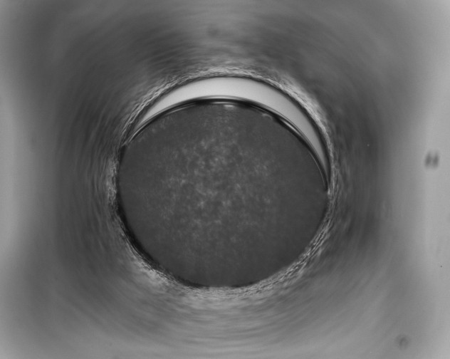 X0000099580009200805161247